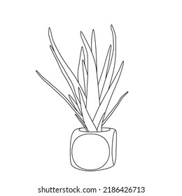 Hand drawn house plants in pots including  aloe garden tools. Vector collection of doodle plants.