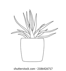 Hand drawn house plants in pots including  aloe garden tools. Vector collection of doodle plants.