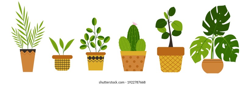 Hand drawn house plants. Scandinavian style illustration, modern and elegant home decor. Vector design flowers.Potted plants collection. Urban jungle, trendy home decor with plants, cactus, tropical l