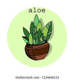 Hand drawn house plants. Vector illustration, modern and elegant home decor. Vector design flowers.