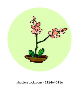 Hand drawn house plants. Vector illustration, modern and elegant home decor. Vector design flowers.
