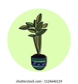 Hand drawn house plants. Vector illustration, modern and elegant home decor. Vector design flowers.
