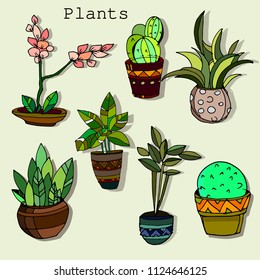 Hand drawn house plants. Vector illustration, modern and elegant home decor. Vector design flowers.