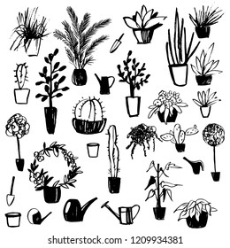 Hand drawn house plants. Vector sketch  illustration.