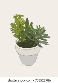 Hand drawn houseplant . cactus and succulents in pots. sketch vector.