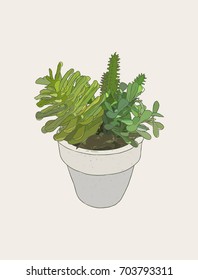 Hand drawn houseplant . cactus and succulents in pots. sketch vector.