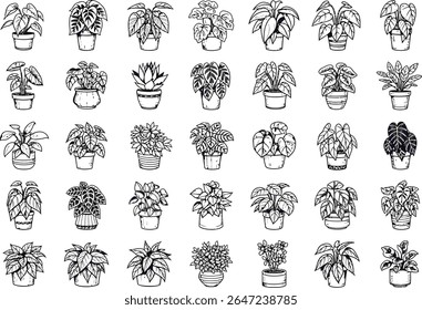 Hand Drawn Houseplant Collection Black and White Sketch Indoor Plant Variety Potted Plants Minimalist Illustration