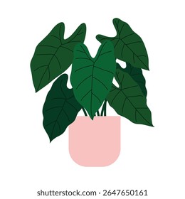 Hand drawn houseplant in flat design style