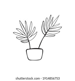hand drawn houseplant icon. Vector doodle palm plant in a pot. White background.
