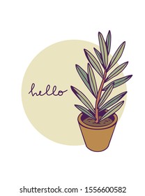 Hand drawn houseplant on a white background. Vector image for creative design of posters, cards, banners, invitations, etc.