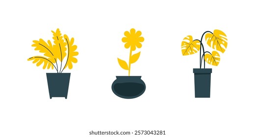 Hand Drawn Houseplant Outline Set Isolated on White Background. Hand-Drawn Houseplant Outline Set for Botanical Designs and Minimalist Art