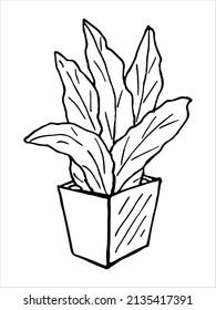 Сute hand drawn houseplant in a pot clipart. Plant illustration isolated on white background. Cozy home doodle.