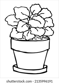 Сute hand drawn houseplant in a pot clipart. Plant illustration isolated on white background. Cozy home doodle.