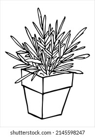 Сute hand drawn houseplant in a pot clipart. Plant illustration isolated on white background. Cozy home doodle.