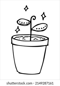 Сute hand drawn houseplant in a pot clipart. Plant illustration isolated on white background. Cozy home doodle.