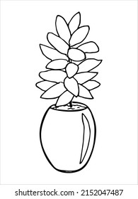 Сute hand drawn houseplant in a pot clipart. Plant illustration. Cozy home doodle.