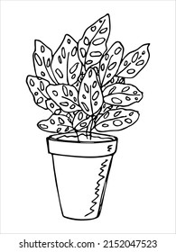 Сute hand drawn houseplant in a pot clipart. Plant illustration. Cozy home doodle.