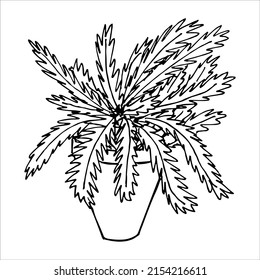 Сute hand drawn houseplant in a pot clipart. Plant illustration. Cozy home doodle.