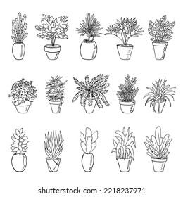 Сute hand drawn houseplant in a pot clipart. Plant illustration. Cozy home doodle set