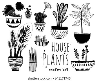 Hand drawn houseplants. Graphic vector set