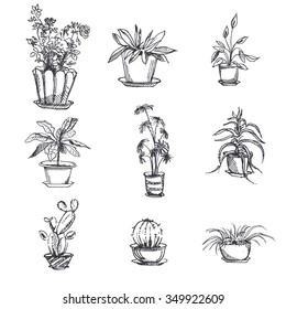 Hand drawn houseplants in pot set. Plant art graphic, element floral houseplant. Vector illustration. 