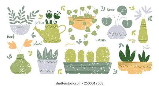 Hand drawn houseplants in pot vector illustration. Green flowers, cactuses and succulents in different creative vases set. Home garden, botanical composition for cozy flat apartment interior design