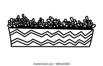 Hand drawn houseplants. Vector illustration of potted plants for home isolated on white background