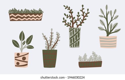 Hand drawn houseplants. Vector illustration of potted plants