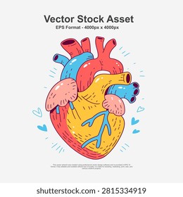 Hand drawn human anatomical heart vector illustration featuring detailed biological structures, arteries, veins, ventricles, and realistic organic forms. Created with bold line art, clean contours, flat colors, visible highlights, and subtle shadows to enhance depth and anatomical accuracy. Ideal for medical education, healthcare presentations, biology textbooks, anatomy studies, scientific publications, educational posters, infographics, hospital materials, pharmaceutical marketing, and academic projects. The artwork combines scientific detail with an artistic hand drawn style, making it suitable for both professional and creative applications. Fully editable vector illustration in EPS10 format for high-quality print and digital use.