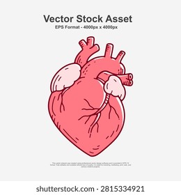 Hand drawn human anatomical heart vector illustration featuring detailed biological structures, arteries, veins, ventricles, and realistic organic forms. Created with bold line art, clean contours, flat colors, visible highlights, and subtle shadows to enhance depth and anatomical accuracy. Ideal for medical education, healthcare presentations, biology textbooks, anatomy studies, scientific publications, educational posters, infographics, hospital materials, pharmaceutical marketing, and academic projects. The artwork combines scientific detail with an artistic hand drawn style, making it suitable for both professional and creative applications. Fully editable vector illustration in EPS10 format for high-quality print and digital use.