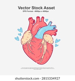 Hand drawn human anatomical heart vector illustration featuring detailed biological structures, arteries, veins, ventricles, and realistic organic forms. Created with bold line art, clean contours, flat colors, visible highlights, and subtle shadows to enhance depth and anatomical accuracy. Ideal for medical education, healthcare presentations, biology textbooks, anatomy studies, scientific publications, educational posters, infographics, hospital materials, pharmaceutical marketing, and academic projects. The artwork combines scientific detail with an artistic hand drawn style, making it suitable for both professional and creative applications. Fully editable vector illustration in EPS10 format for high-quality print and digital use.