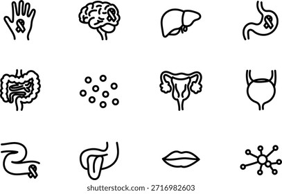 Hand Drawn Human Anatomy and Internal Organs Icon Set in Outline Style