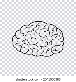 Hand drawn human brain isolated on transparent background. Vector illustration.