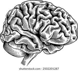 Hand drawn Human Brain Side View Sketch Illustration