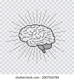 Hand drawn human brain with sunburst anatomically correct art isolated on transparent background. Flash tattoo or print design. Vector illustration.