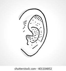 Hand drawn human ear. Vector sketch