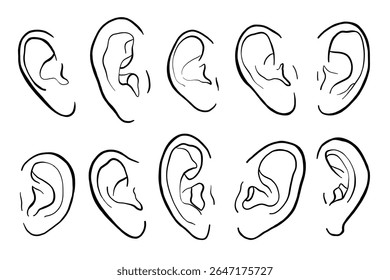 Hand drawn human ears vector illustration icon set black lines. Human body parts of different races