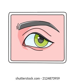 Icono de ojo humano dibujado a mano con ceja aislada en fondo blanco. Ilustración del vector