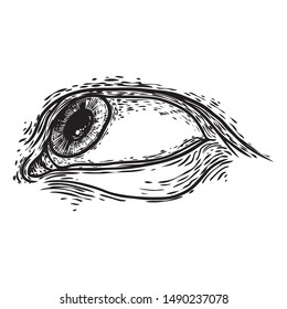 Hand drawn human eye with iris. Anatomy of vision organ element. Makeup salon design element. Vector.