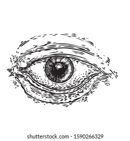Hand drawn human eye with iris as element of All seeing eye of providence variation.  Blackwork tattoo flash of Masonic symbol design. Sacred religion, spirituality and occultism. Vector.