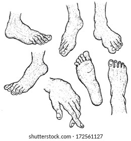 Hand Drawn Human Foot Set/ Illustration of a set of doodle sketched human right and left foot and hands isolated on white background