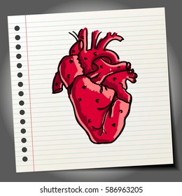 Hand drawn human heart. Isolated hand drawn heart in doodle style. Vector illustration.