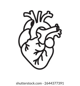 Hand drawn human heart. Vector.