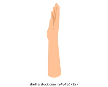 Hand Drawn Human Hand Illustration