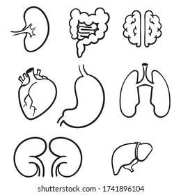 Handgezeichnete innere Organe Symbol mit Lungen Nieren Magen-Darm im Gehirn Milz und Leber. Karikatur