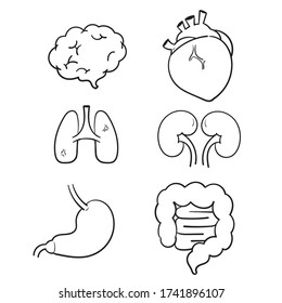 ícono de órganos internos humanos dibujado a mano con pulmones, intestinos estomacales, bazo de corazón e hígado. caricatura de doodle