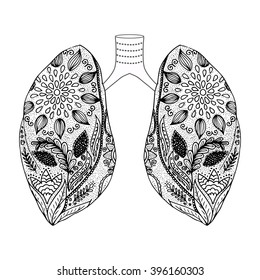 Hand drawn human lungs. Human lungs in doodle style.