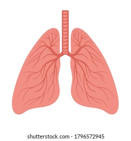 Hand drawn human lungs for medical design isolated on white, stock vector illustration