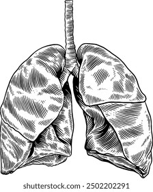 Hand drawn Human Lungs Sketch Illustration