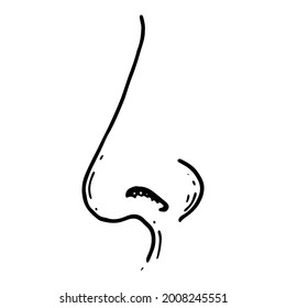 hand drawn human nose illustration in doodle style